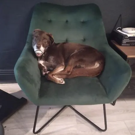 Pet Lovers - Mariners Rest One Bedroom Appartement